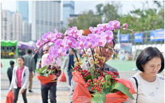 各区年宵市场开幕 今年花市无乾货摊位 