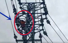 湖南10歲童貪玩爬電塔 觸電墜地灼傷骨折