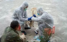 贵州增一宗H7N9病例　患者从事禽类贩卖