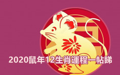 【2020年生肖運程】盤點今年氣勢如虹生肖 邊個事業桃花當旺