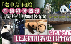 熊猫经济︱海洋公园「老中青」同馆 广西旅行社：比去四川看更具性价比