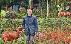 黃羊產業免息貸款 南江脫貧邁向小康 香港扶貧會捐資3000萬