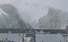 「南瑪都」登陸九州1死1失蹤逾60傷 四國島捲驚人大浪