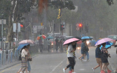 【健康Talk】落雨易疲倦頭痛 中醫解釋因體內濕氣重