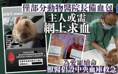 每日杂志｜主人网上「求血」为宠物续命 团体倡成立中央血库救急