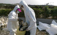 首例台人赴內地感染H7N9　搶救27日後死亡