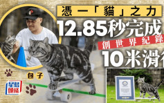 世界纪录｜温州「滑板猫」12.85秒完成10米滑行 堪称奇迹