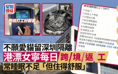 港漂女不愿爱猫深圳隔离 宁每日跨境上班 常睡眠不足「但住得舒服」