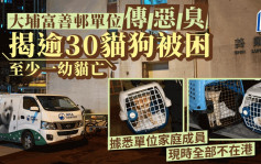 大埔富善邨单位传恶臭 揭逾30猫狗被困 至少一猫毙命