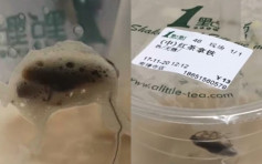 【太噁心】江蘇網紅奶茶店有蟑螂 店家要求證明中毒才處理