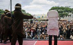 印尼亚齐新法 盗猎红毛猩猩或鞭刑百下