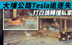 車cam直擊｜兩車大埔公路追逐 Tesla失控打白鴿轉撼私家車