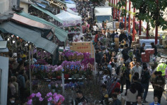 农历新年｜花墟人头涌涌 有市民豪掷千元买花：心头好最紧要