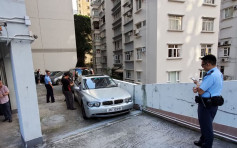 跑馬地大廈落石屎雨 4私家車車身損毀