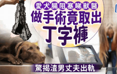 愛犬不適竟從胃取出女性丁字褲  女主人驚揭丈夫出軌