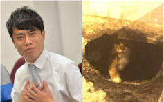 【5猫遭活埋】邝俊宇：尚有1只胆小猫不敢出来 管理公司承诺暂不填土