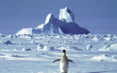 南极再录得破纪录20.75°C高温