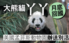 美國孟菲斯動物園為大熊貓「丫丫」舉行送別活動 