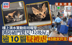 深水埗唐樓樓上滴水驚動街坊報警 消防破門揭「垃圾屋」逾10貓疑被虐