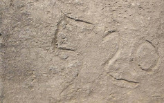 南京明城牆地磚上被發現「520」字樣 非遊客刻上