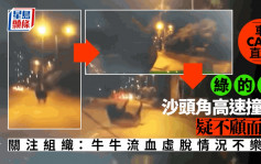 車CAM｜綠的哥沙頭角高速撞牛疑不顧而去 被網民狠批「眼盲」兼反應慢