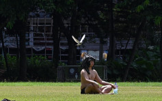 酷熱天氣警告生效 元朗公園錄34.1度成全港最熱