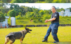 中国首只复制警犬诞生  望减低训练成本