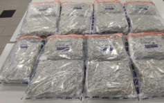 41歲女子機場入境 行李藏357萬元大麻花被捕