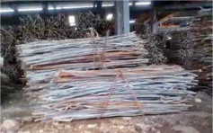 廣東檢五千多噸問題鋼材 共27人被捕