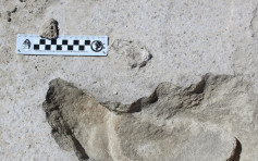 美國白沙國家公園發現絕種地懶腳印化石