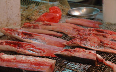 九龍城街市一魚檔鯇魚樣本驗出孔雀石綠 食安中心指令停售