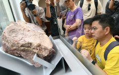 恐龍化石︱李家超：考慮發展地質公園旅遊 開發更多路線