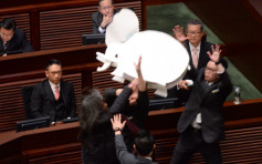 預算案：長毛爭取全民退保　衝前擲大白象被逐