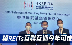 香港房托基金协会：冀REITs互联互通今年可成事