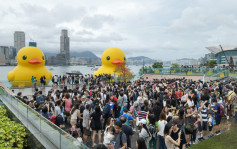黄鸭︱展览最后一天 市民趁父亲节一家人打卡 有人呻鸭仔气球有炒价