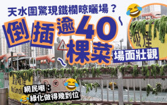 天水圍「嚴禁晾曬」鐵欄上曬逾40棵菜 場面壯觀 網民嘲：綠化城市｜Juicy叮