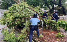 台风苏拉︱警队无惧飓风 助市民脱离险境清塌树开路