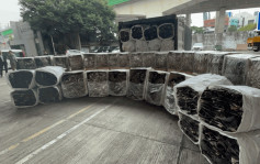 泰国进口货柜藏4200公斤受管制乾鲨鱼皮 海关拘上环海味店男股东