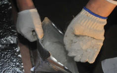中澳联手破跨国贩毒集团　拘2港人检逾百公斤冰毒