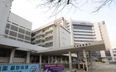 九龍醫院4病人帶有抗萬古霉素腸道鏈球菌 