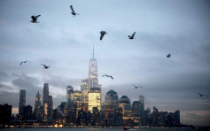 美国年均六亿只雀鸟撞摩天大楼身亡 专家指与光线有关