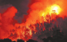 法国南部森林大火 42岁男子涉「过失纵火」被起诉