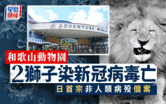 和歌山動物園2獅子染疫亡 日首例非人類病歿　