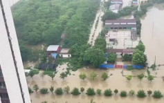 河南暴雨｜多地发布最高级别红色预警 南阳启动防汛一级应急响应