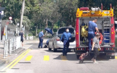 青山公路新墟段女途人捱私家車撞昏迷送院 警拘男司機涉危險駕駛