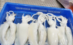 印度進口凍墨魚包裝樣本驗出新冠病毒 內地海關採緊急預防措施