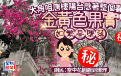 大角咀唐樓陽台懸著整個春天 金黃色果實如繁星墜落 網民：空中花園靚到爆炸｜Juicy叮