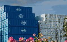 中遠海發：下半年貨櫃市場穩定 港口現空櫃符預期