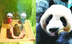 不臭还有竹香？武汉动物园展熊猫粪便供游客闻