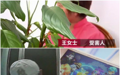 上海少妇手机嗒已婚男「开房」　被拍艳照遭勒索百万